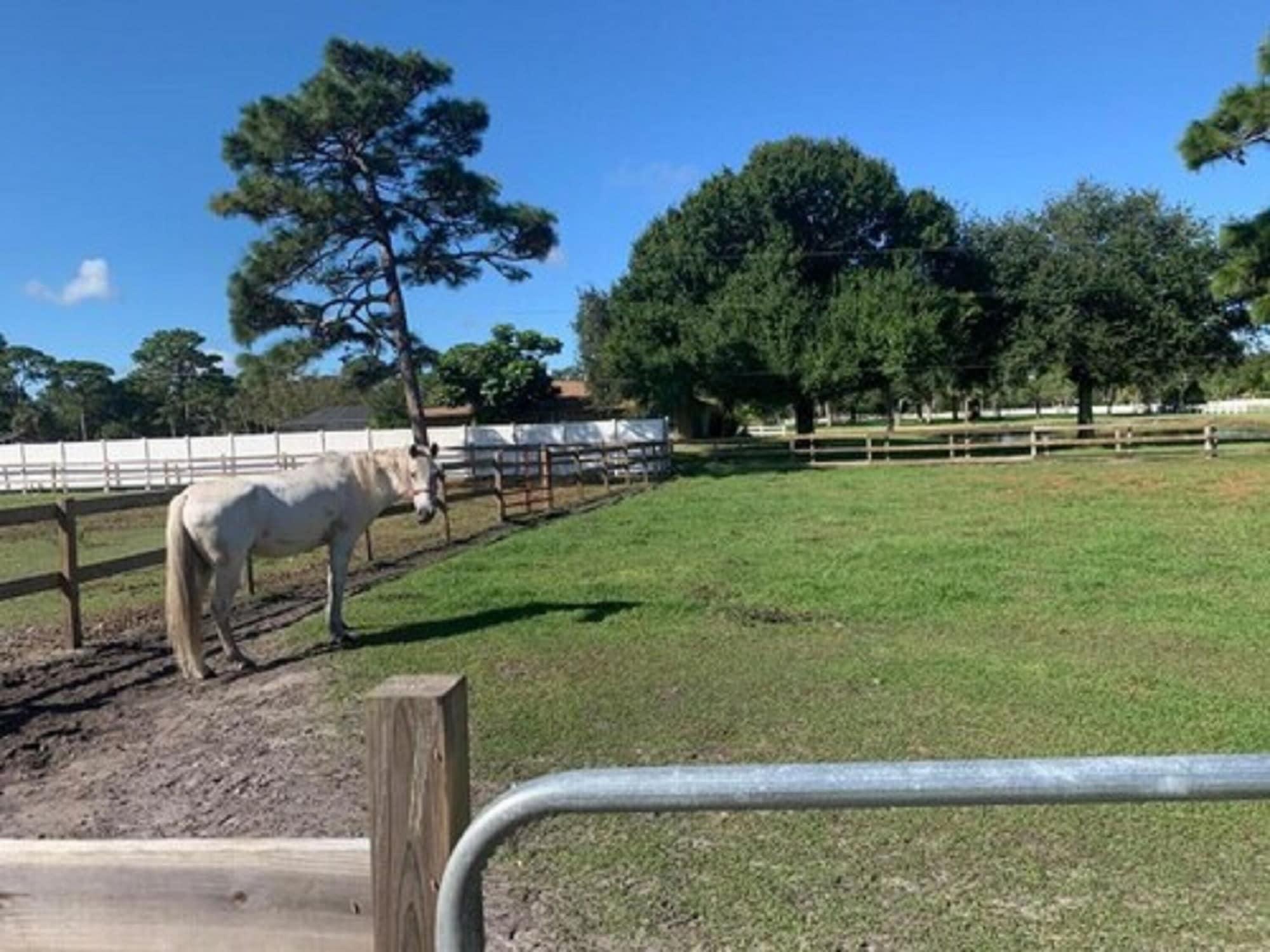 Hotel Oyo Family Ranch At Melbourne Fl Extérieur photo